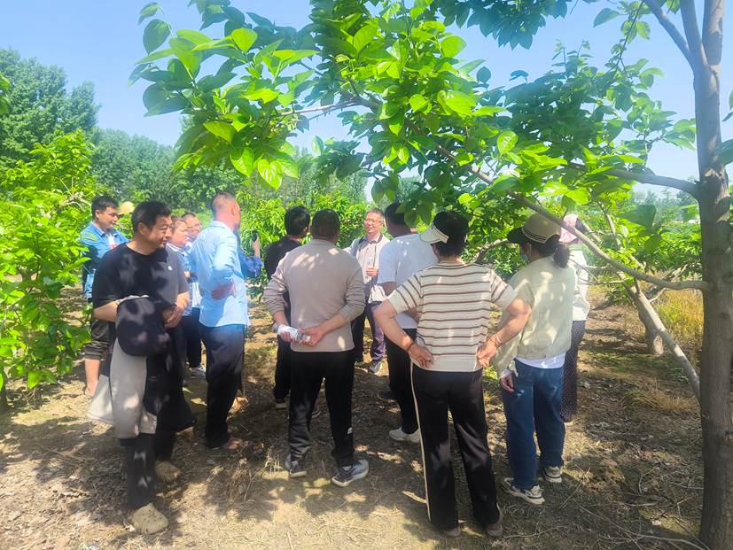 微信图片_20260417134248_179_43